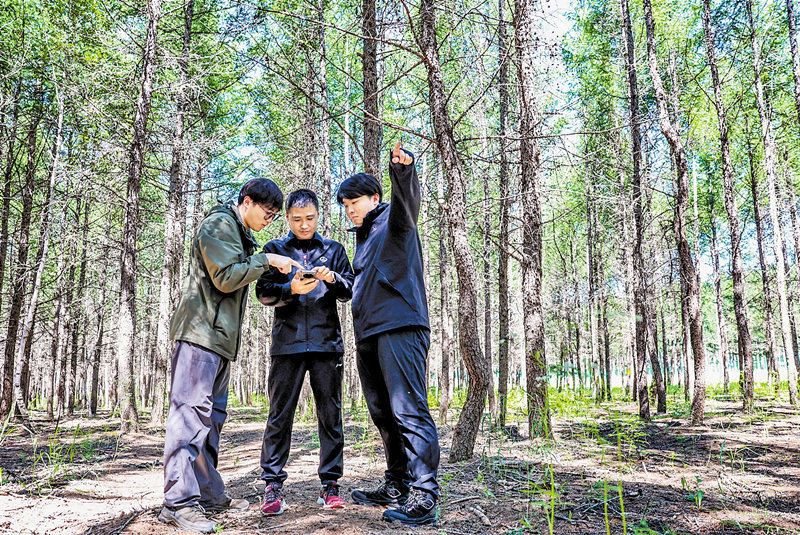 90后记者沿着足迹看新变：塞罕坝来了“科